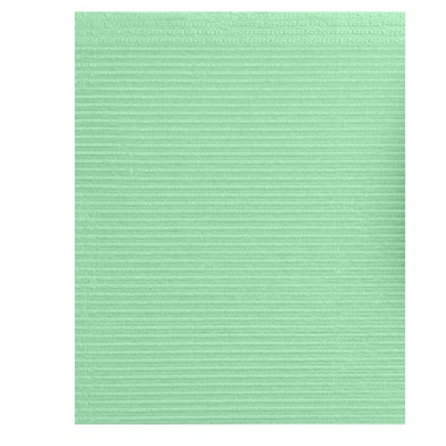 Medicom 13" x 18" Green SafeBasics Dry-Back Plus Patient Bib (8385) Medicom 13" x 18" Green SafeBasics Dry-Back Plus Patient Bib (8385)
