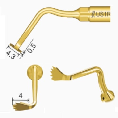 Woodpecker US1R Woodpecker US-II LED Piezo Surgical Tip for Osseous Surgery (US1R)