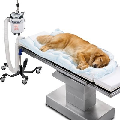 3M™ Bair Hugger™ Animal Health Long Underbody Warming Blankets 10