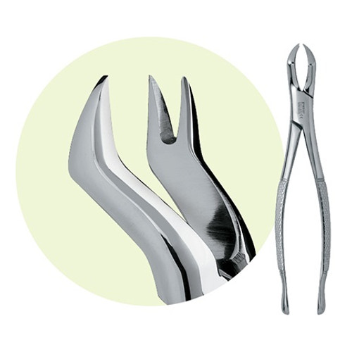 Premier #88R Extraction Forceps (9065025) Premier #88R Extraction Forceps (9065025)