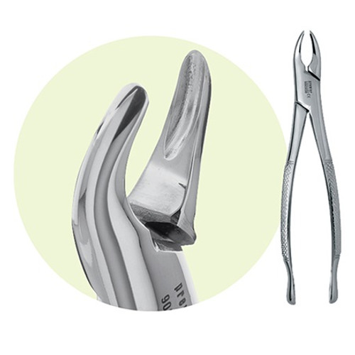 Premier Dental #150 Extraction Forceps with Serrated Tips (9065078)