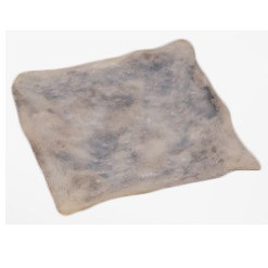 Alamo Biologics 20mmx 30mm Fascia Lata (AT704FD)