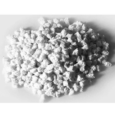 Unicare Biomedical Bicera HA/TCP Bone Graft Substitute in 2cc Volume Pack (BC-G22)