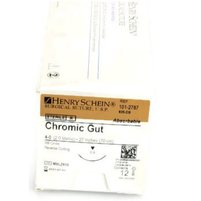 Henry Schein 4-0 x 27" Undyed Chromic Gut Suture with C-6 Needle (1012787)