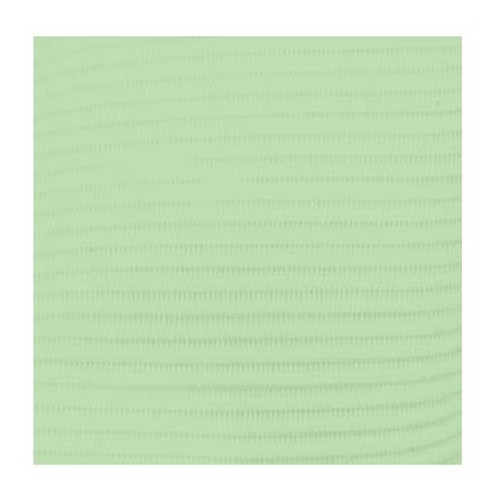 Crosstex Green 19" x 13"  Professional Regular 3-Ply Tissue Patient Bib (WTXGR)