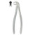 Kohler #22 HP English Pattern Extraction Forceps with Non-Slip Beaks (1107)