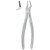 Kohler #51L English Pattern Extraction Forceps with Grooved Beaks (1056)