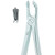 Kohler #79 English Pattern Medium-Size Extraction Forceps with Non-Slip Beaks (1302)