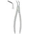 Kohler #46L English Pattern Medium-Size Extraction Forceps Gooved Beaks (1442)