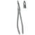 Miltex Xcision #44 Universal Extraction Forceps (DEFXC44)