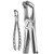 A. Titan X-Trac Lower Molar Atraumatic Extraction Forceps (7900)