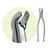 Premier #17 Extraction Forceps (9065008)