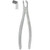 Kohler #79A English Pattern Extraction Forceps with Non-Slip Beaks (1243)
