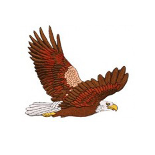 #1228 EAGLE 9"