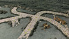 Battle Systems Fantasy Terrain Roads & Rivers - 28-35mm DND D&D RPG Wargames Historical / Fantasy Card Scenery