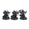 Warhammer: Age of Sigmar Stormcast Eternals Castigators w/ Gryph-hound