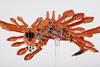 Dropzone Commander Shaltari Firedrake