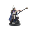 D&D Miniatures Valorous Prince 10/60 Deathknell