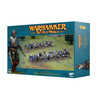 Warhammer: The Old World Empire Free Company Militia