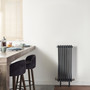 2 Column 900 Horizontal Radiator: Anthracite Grey (RAL 7016) 900mm H x 376mm L - 2-Column-C2090408A-Anthracite-Lifestyle-02.jpg