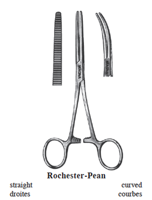 Rochester-Pean Forceps 10.25" Straight Stainless Steel - Almedic Rochester-Pean Forceps 10.25" Straight Stainless Steel - Almedic