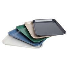 Zirc B-Lok Instrument Flat Tray, Plastic, Ritter Size