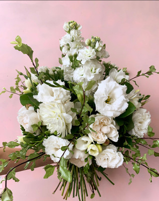 White Posy
