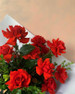 Red Roses