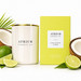 Luxurious Atrium Co. Candle