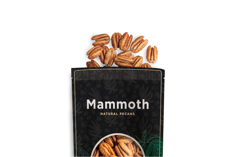 Buy Mammoth Desirable Pecan Halves | 1 lb Bag | Cane River Pecan