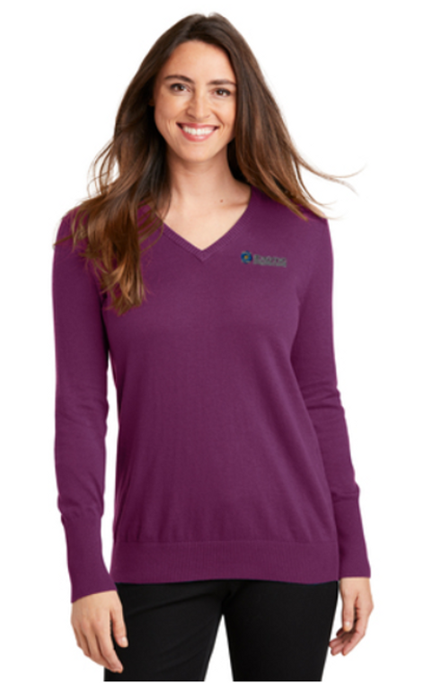 Ladies V-neck Sweater-Exotic