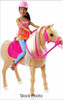 Barbie Dancin Fun Horse and Doll Gift Set African American 2015 Mattel #FCD55