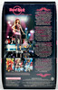 Hard Rock Cafe Barbie Doll Pink Label 2006 Mattel K7906