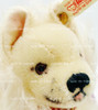 Steiff Club Toy German Spitz Zwergspitz Dog Doll 2000-2001 No 420207 MINT