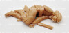 CONTÉ Collectibles Lot of 5 Native American Figures Unpainted Tan Plastic