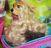 Barbie Stylin' Pup Doll & Color Changing Dog Grooming Set 2002 Mattel 56686 NRFB