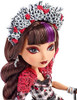 Ever After High Spring Unsprung Cerise Hood Doll 2014 Mattel CDM50