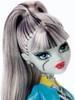 Monster High Picture Day Frankie Stein Doll 2012 Mattel Y7697