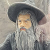 Lord of the Rings Gandalf the Grey Action Figure Toy Biz 2003 No 81388 NRFP