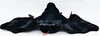 TY Beanie Buddy 8" Batty the Black Bat Plush 2009 with Tag