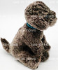 Ty Beanie Baby Frisbee the Gray Weimaraner Dog Plush Toy W/ Tag 2001 NEW