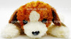 Beanie Babies Ty Beanie Buddy Sampson the Dog Tysilk Plush Toy W/ Tag 2003 NEW