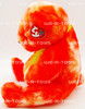 Ty Beanie Buddy Tangerine the Bear 10" Plush Toy W/ Tag 2001 NEW