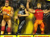 WWE Hulk Hogan Hulk Still Rules Action Figure 3-Pack Jakks Pacific 2002