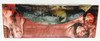 The Lord of the Rings Ringwraith and Horse Action Figure 2002 Toy Biz 81183 NEW