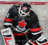 NHL Team Canada #30 Martin Brodeur Action Figure McFarlane 2005 NEW