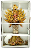 Barbie Goddess of the Sun Doll by Bob Mackie 1995 Mattel 14056