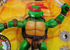 Teenage Mutant Ninja Turtles Raphael Action Figure Playmates 2002 #53053 NEW