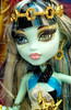 Frankie Stein Haunt The Casbah 13 Wishes Monster High Doll 2012 Mattel Y7704