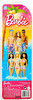 Summer Beach Barbie Doll 2012 Mattel X9598 NEW